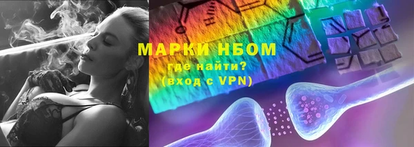 прущие грибы Алексеевка