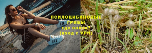 прущие грибы Алексеевка