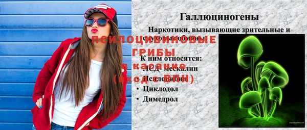 прущие грибы Алексеевка