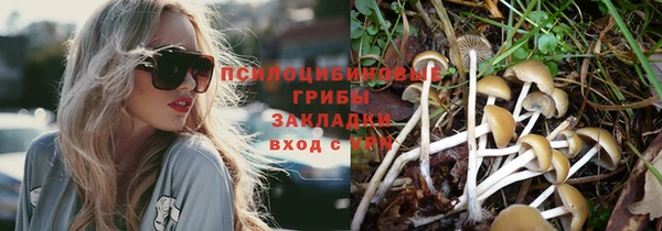 прущие грибы Алексеевка